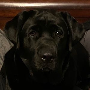 Meet your Posher, Mindi